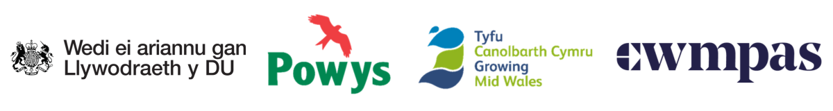 Digital Confidence Powys logo block