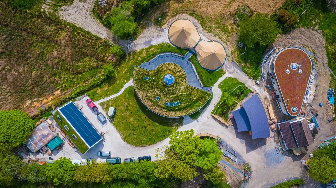 Dathlu Diwrnod Menter Gymdeithasol 2025: Adeiladu dyfodol da gyda Down to Earth